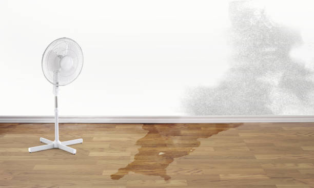 Best Emergency water damage restoration  in Elida, OH