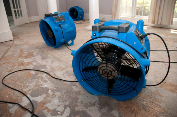 Best Professional water damage repair  in Elida, OH