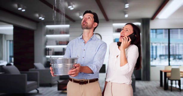 Best 24/7 water damage repair  in Elida, OH