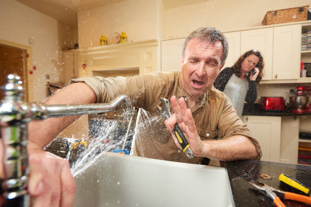 Best Local water damage restoration  in Elida, OH